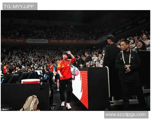 世界杯点评：北京乒乓球队默契配合展现团队精神与竞技实力